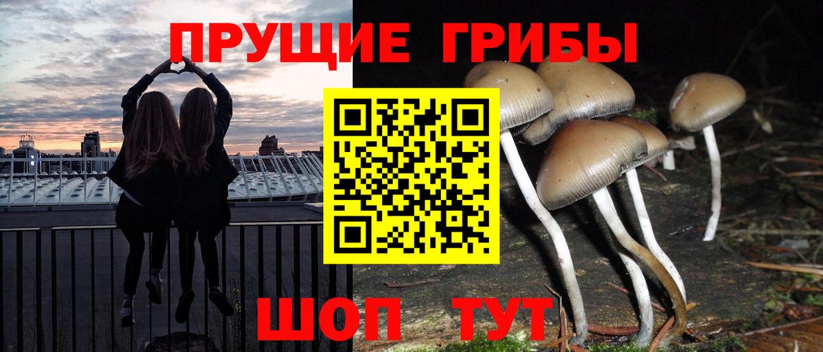 Галлюциногенные грибы Magic Shrooms Егорьевск