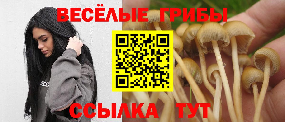 Егорьевск  наркотики  Вход с VPN  Галлюциногенные грибы Psilocybine cubensis 